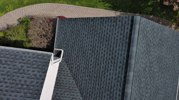Best Roof Ventilation Installation  in Bellview, FL